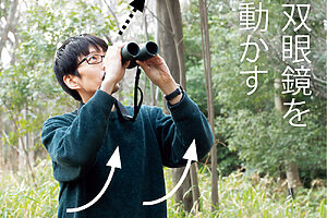 （4）そのままの体勢を保持して、双眼鏡を目に当てる