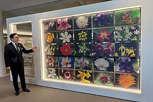 エントランスで出迎えてくれたのは、原料生薬の花々。牡丹やクチナシなど観賞用としてなじみの深いものも