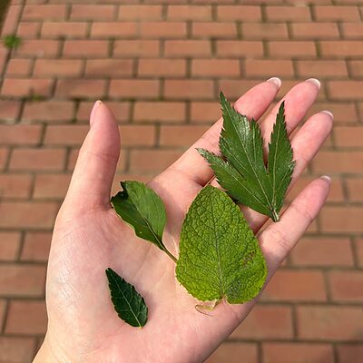 日々気になる諸症状……これって更年期？ ツムラ漢方記念館で学ぶ、ゆらぐ私を整える漢方の知恵