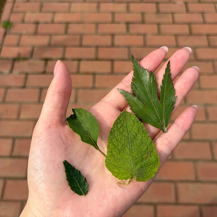 日々気になる諸症状……これって更年期？ ツムラ漢方記念館で学ぶ、ゆらぐ私を整える漢方の知恵