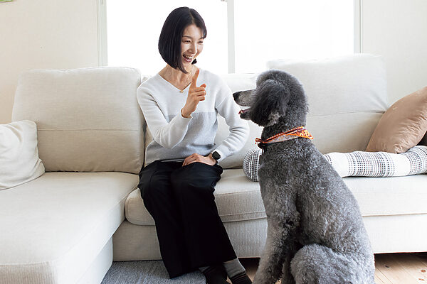 犬が健やかに育つ。ペットとのびやかに共生するヒント