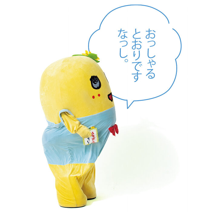 衝突を避けない人っていうのは傲慢なんじゃないでしょうか？【たいっしーとふなっしーのお悩み相談室】