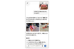AIは写真の読み込みも得意。写真を見せるだけで、その名前や使い方、背景などを教えてくれる