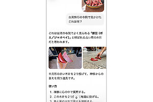 AIはすぐに名前を教えてくれ、ほかの写真も紹介しながら、使い方まで解説してくれた