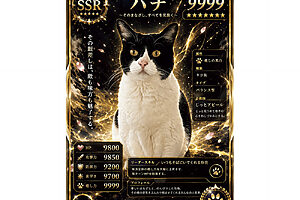 カードの中の文字を変えたいなど、細かいリクエストをすることもできる