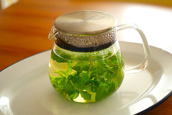【白央篤司が聞く「自分でお茶を淹れて、飲む」vol.16】酷暑の疲れをやさしく労わる——白央さんの「夏におすすめのお茶」