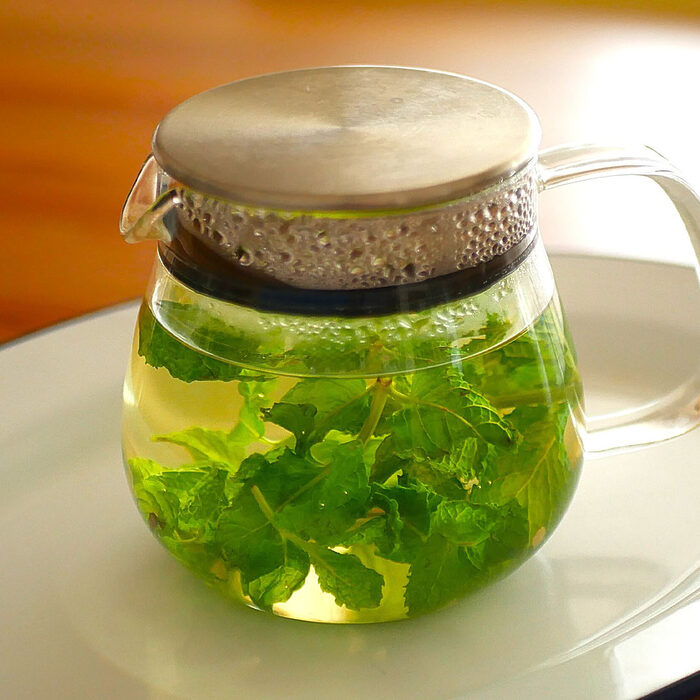 【白央篤司が聞く「自分でお茶を淹れて、飲む」vol.16】酷暑の疲れをやさしく労わる——白央さんの「夏におすすめのお茶」