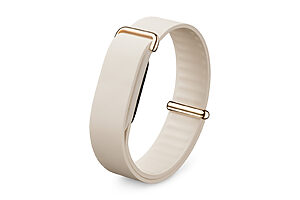 Google Fitbit Air 1万6800円（Google Store https://blog.google/intl/ja-jp/products/devices-services/google-fitbit-air/）