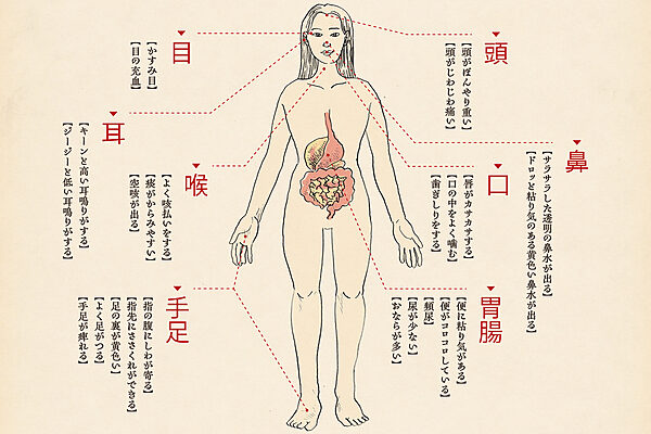 体からの小さなSOSを見逃さない。セルフコンディショニング事典【その他】