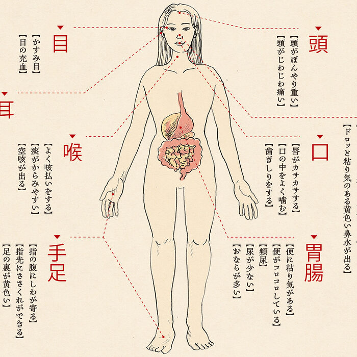 体からの小さなSOSを見逃さない。セルフコンディショニング事典【その他】