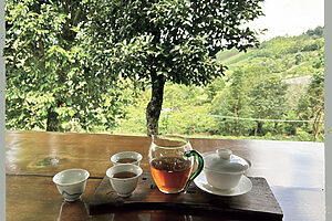 茶畑を望むテラス。雨音を聞きながら、日がな一日茶を飲んで過ごした
