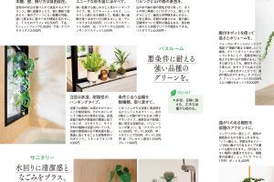 【試し読み付き】9月25日発売の『クロワッサン』最新号は「幸せ感じる部屋作りアイデア。」