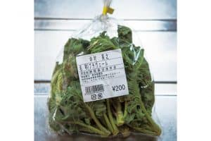 話題の新野菜も産直で! 栄養価が高いことで注目を集める芽キャベツ「プチヴェール」も沼津からの直送ゆえ、この値段で購入できる。