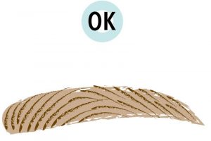 毛の流れに沿って、一本一本毛を生やすように描くと自然になる。