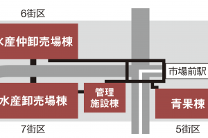 【豊洲市場】移転から半年、話題の豊洲市場のグルメ&買い物ツアー体験記。