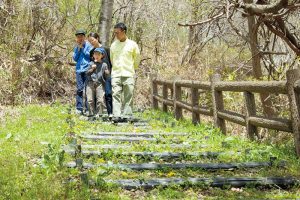 家から徒歩10分ほどにある山の中の散策路。高山植物や都心では見かけない鳥を観賞。