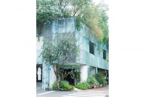 緑が多くて気持ちいい。中庭にはツリーハウスも。