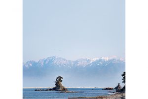 魚、自然、北陸の神秘、富山の休日。