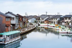 魚、自然、北陸の神秘、富山の休日。