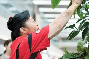 空港内の植栽の中にあった枯れ葉を取り除く新津さん。チェック業務の合間にも、気づいたことがあれば自らすぐに手を動かす。